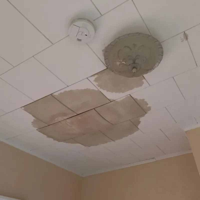 Ceiling Water Damage Repair in Sonoma County, CA