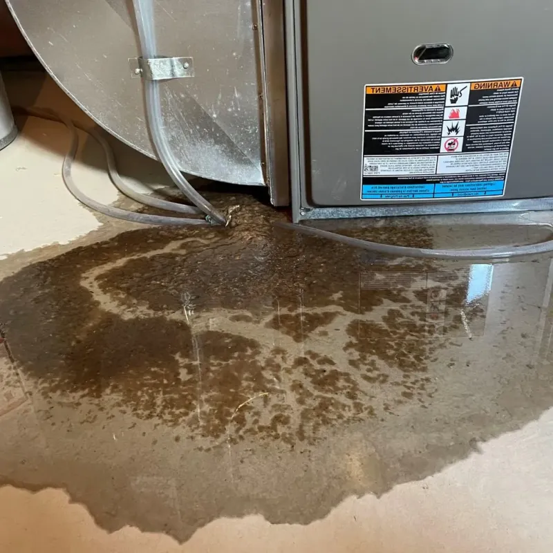 Pipe Burst and Leak Restoration in Sonoma County, CA